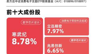 中证消费电子主题指数今日涨近5% 易方达消费电子ETF三月吸金6.5亿居同类首位