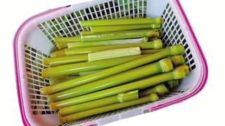 浙江桐乡李家浜村老品种甜芦粟丰收 老主顾驱车寻回童年味