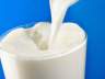 百菲乳业四度冲击IPO！自养占比不足4% 布局普通奶难破水牛奶困局