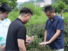 探秘珍稀紫芽茶,溯源千年柏塘茶史|我院 “笃志向善”突击队实地走访茶种培育园