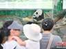 7月29日广州动物园暑期人气旺 亲子游客扎堆打卡