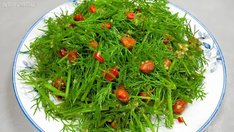 三伏夏天，少吃萝卜白菜，多吃这3种“祛湿菜”，身体棒，安康清爽过炎夏！