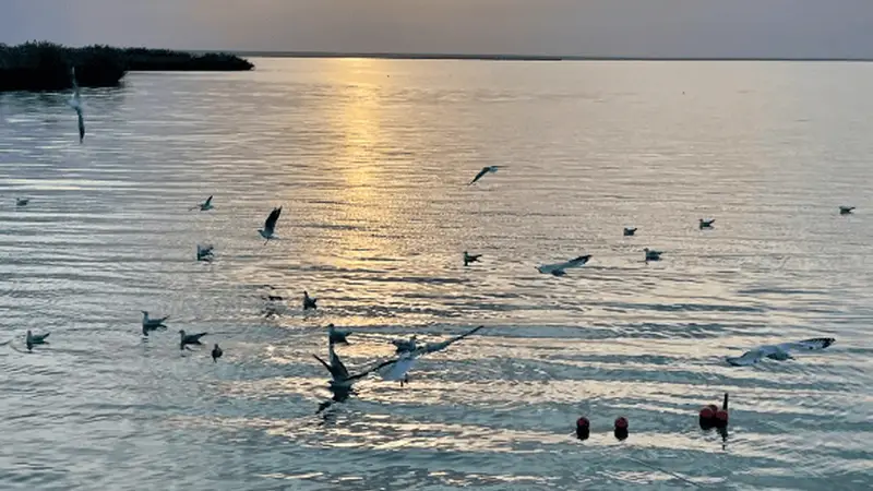 居延海日落新玩法 不用凌晨四点半也能追光看日落
