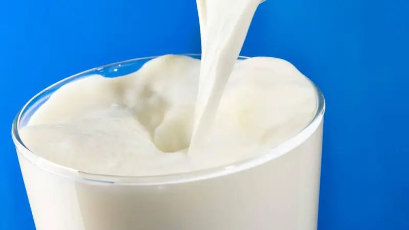 百菲乳业四度冲击IPO！自养占比不足4% 布局普通奶难破水牛奶困局