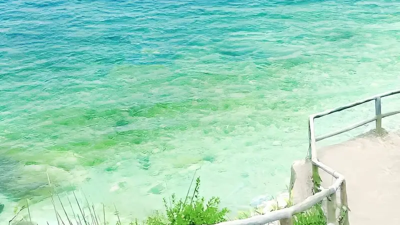 烟台4天3晚避暑专线出炉 22℃渤海海风送清爽之旅