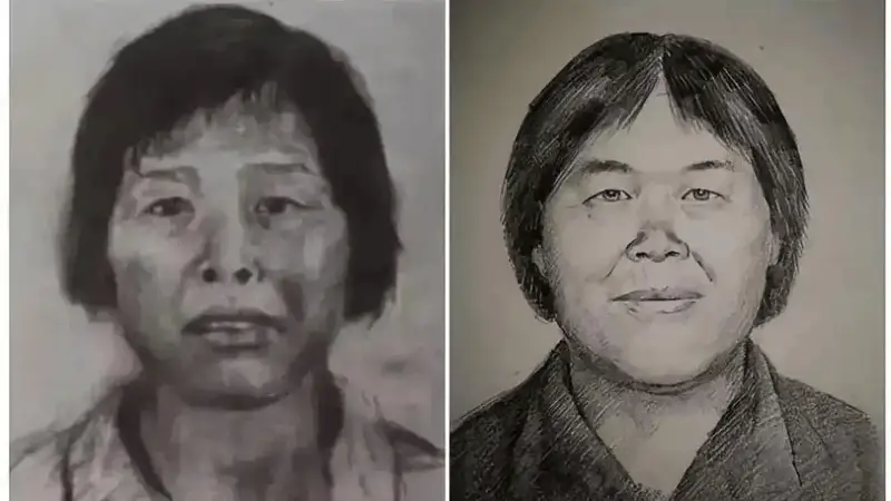 人贩子梅姨案关键嫌犯谢家梅落网 案件进入审查起诉环节
