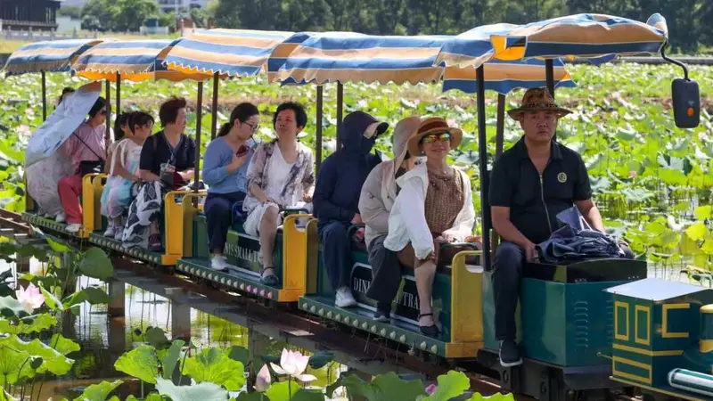 福建武夷山:五夫荷韵 盛夏逐芳