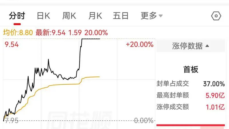 双杰电气午后20CM涨停续创跌停纪录