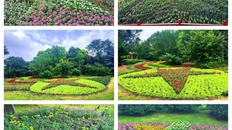 长春百花园打造五处五角星主题园艺景观 成暑期红色打卡地