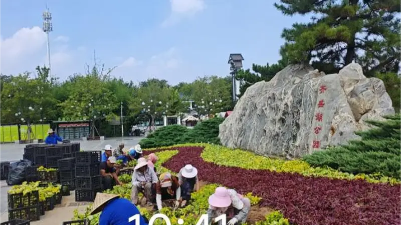 市公园城市服务中心启动齐盛湖公园管护提质行动 优环境保安全提体验