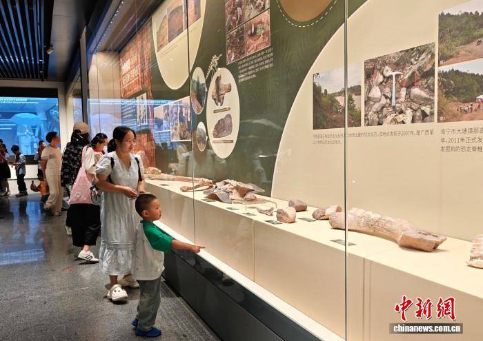 “巨兽觉醒”广西恐龙科普大展亮相江苏无锡