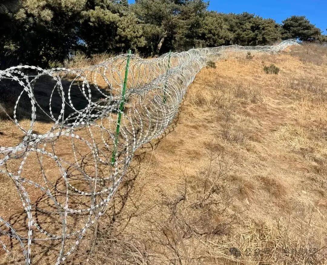 135公里刀片网，只为守住泰山6个亿的门票？