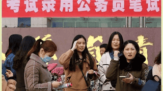 体制内岗位为何女生占优？三点核心原因引关注