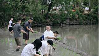 阿里管理层集体下田插秧，马云现身传递信心