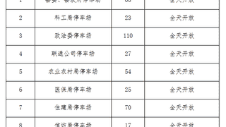 瓣瓣一线|河北一县城推行全年免费停车,县委县政府等11家机关单位在列