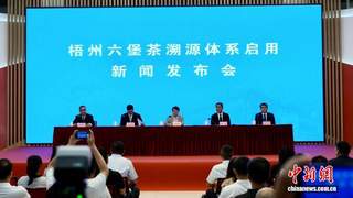 梧州六堡茶溯源体系正式启用