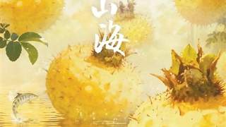 万物有源 百味有因