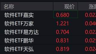软件概念股走强，软件ETF涨超3%