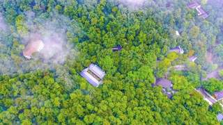 夏日出逃计划：直达大洪山21°C清凉秘境！