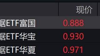 大数据概念股走强，大数据ETF涨超4%
