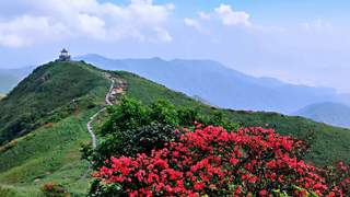 姑婆山国家森林公园成功入选2026年全国森林富氧型避暑气候资源推荐名录