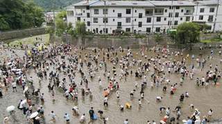 城口河鱼乡第十届农耕消夏康养季燃动夏日“凉经济”