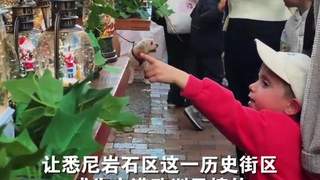 来悉尼体验“七月圣诞节”