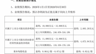兴森科技：上半年归母净利润同比预增246.83%至316.19%
