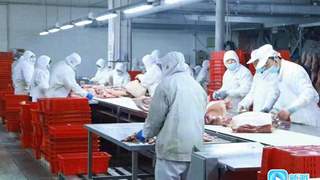 潍坊猪肉首次出口非洲 海外市场再添新版图