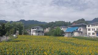 栾川山居：伏牛深处的半日闲