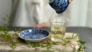 温度如何雕琢白茶的灵魂：从低温慢烘到中温适焙的风味密码