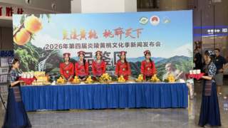 2026年第四届炎陵黄桃文化季启幕，文旅融合“1+N”模式邀您桃醉清凉一夏