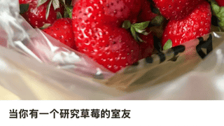 ：农学：追羊、种果，毕业论文的喜怒哀乐