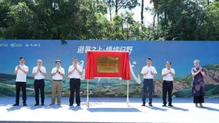 万盛九锅箐森林度假乐园焕新启动 打造重庆近郊森林康养新地标