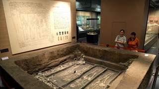 滕州考古新发现成果特展开幕 288件文物再现万年文脉