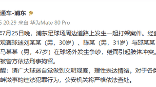 2026年7月25日晚上海浦东足球场周边斗殴4人被刑拘