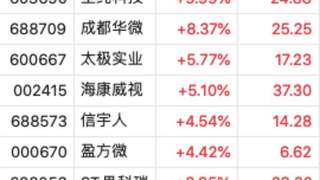 7月27日存储芯片板块异动：长鑫科技上市市值破3.31万亿登顶A股 多股跟涨仅三只个股逆市下跌