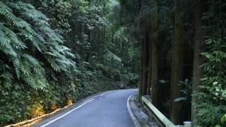 四川绵竹萤飞谷7月起迎来萤火虫观赏季 生态秘境上演流萤漫天盛景