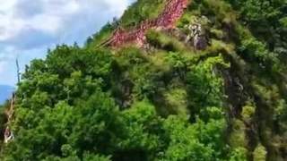 吉林拉法山国家森林公园获评中国最美林场 曾登《国家地理》秋色榜单