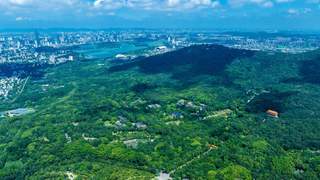 南京钟山风景区面向全国2026级高校新生免景点门票