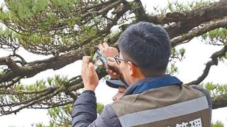 黄山构建三级法治防护网 以智慧监测体系全方位守护世界遗产