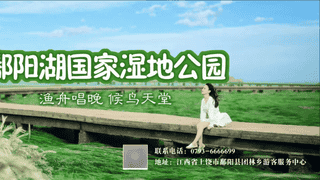 腾龙洞景区因暴雨影响 2026年8月4日临时闭园