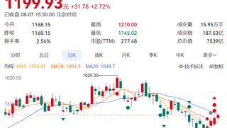 8月7日寒武纪上半年净利增超122% 股价年内涨超30%总市值超7500亿