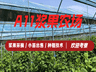 沈阳周末去哪玩 浆果采摘园选择参考