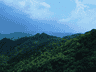 自然渝你 | 走进城市绿野,开启初夏治愈“森”呼吸