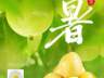 优·时节 | 小暑蝉声沸 百香蜜意长