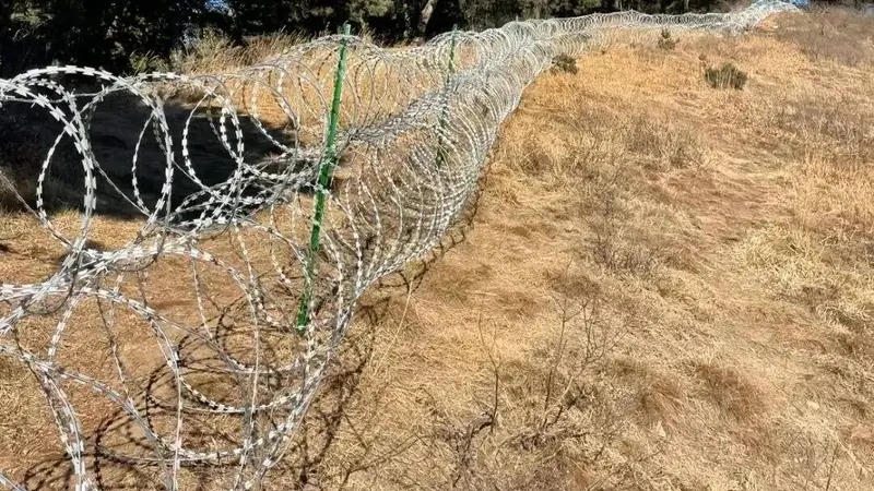 135公里刀片网，只为守住泰山6个亿的门票？
