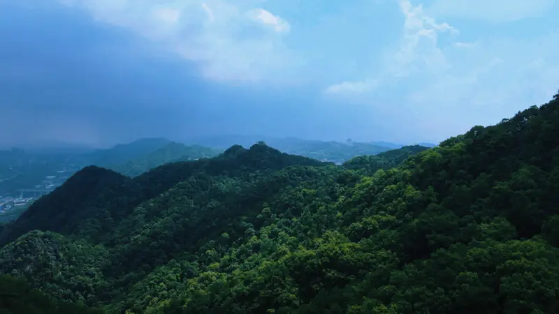 自然渝你 | 走进城市绿野，开启初夏治愈“森”呼吸