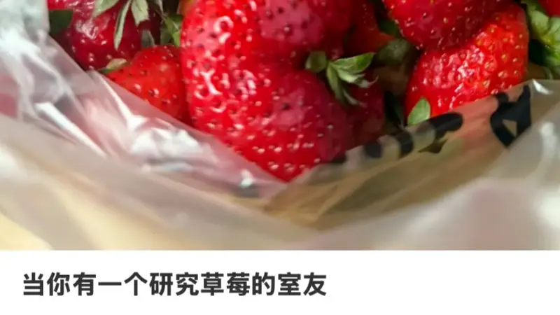 :农学:追羊、种果,毕业论文的喜怒哀乐