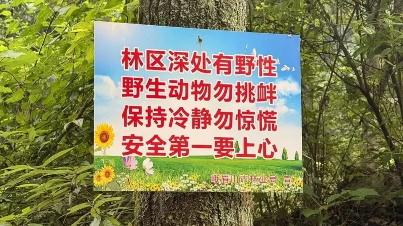 峨眉山市警示：这些野景点危险勿前往
